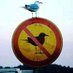 SkyWatcher (@watcherofthesk5) Twitter profile photo