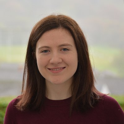 FflurElin's profile picture. 🏴󠁧󠁢󠁷󠁬󠁳󠁿