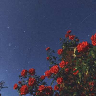 80sThreads's profile picture. 