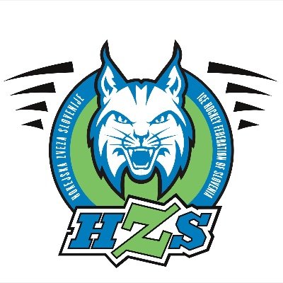 The official Slovenian Ice Hockey Federation Twitter 🏒🥅