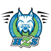 Slovenia Ice Hockey(@lovehokej) 's Twitter Profile Photo