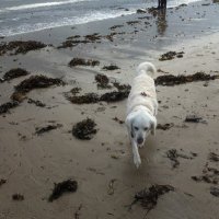 Sue Anderton (@sue_andertonnhs) 's Twitter Profile