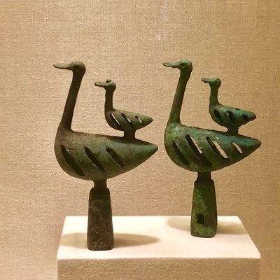 The Octopus Galleryさんのプロフィール画像