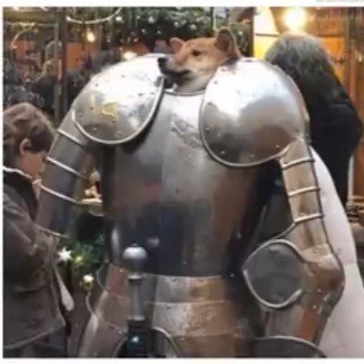 Jordan84249626's profile picture. Bork