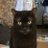 nekomat6116