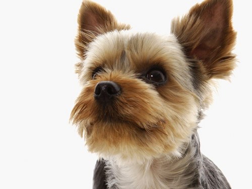 eugenehua's profile picture. Read more, think more.