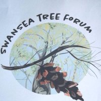 Swansea Tree Forum (@swanseatrees) 's Twitter Profile