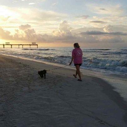 mattocks_s's profile picture. Animal lover❤🐕🐈WTF America🤦🏼‍♀️ #resistance #impeach🍊💦✊#unfittobepresident 🌈love
#stepoutoflineladies