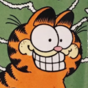 funnyorangcat Profile Picture