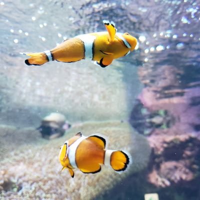 川部さんのプロフィール画像