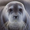 Danny Stoops - @StoopsDanny - Twitter