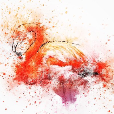 iroiro0310roi's profile picture. もちろん成人済みです(成人してからもけっこう経ちます)!!!