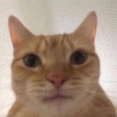 junrpowderpuff's profile picture. NOVEMBER 6th 🤮🍽😈🎀🏈 MAKING EPHRATA HISTORY🚫🧢💦 FUNERAL FOR SENIORS HELD AT 9PM 11/6 ☠️ #SHAKSBACK #SSJUNIORS