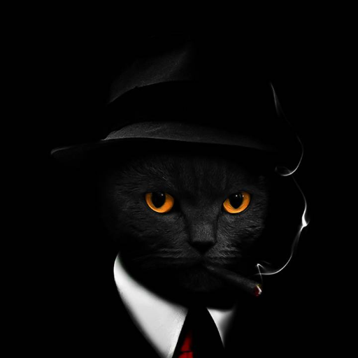 doru1hanganu's profile picture. President of AndTonDavStan