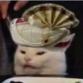 MasalaButter's profile picture. Degradable