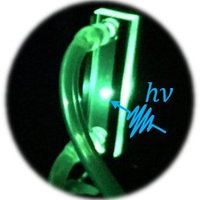 Rodrigo Noriega (@noriega_lab) 's Twitter Profile