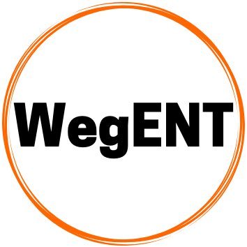 WegrynENT Profile Picture