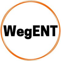 WegENT(@WegrynENT) 's Twitter Profile Photo