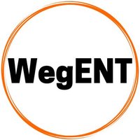 WegENT (@wegrynent) 's Twitter Profile