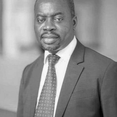 Directeur Général/CEO ANPI Gabon