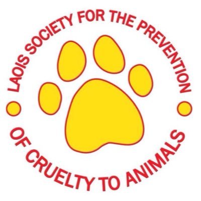 We rescue & protect unwanted or injured animals in Laois. Please take a look at our website for animals available for adoption. Donations are always welcome!