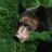 kumaphoto&videoのTwitterプロフィール画像