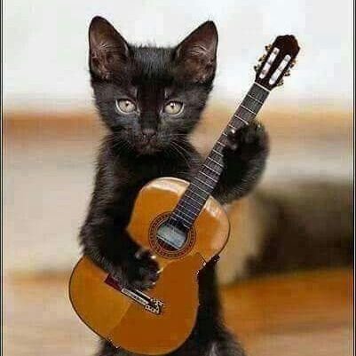 JeffNelson966's profile picture. Epstein Didn’t kill himself.