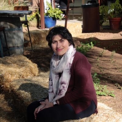 DrSJindani's profile picture. Integrative , Preventive, Functional Medicine physician, Clinical informatics fellow at university of Arizona, Banner university medical center Phoenix.