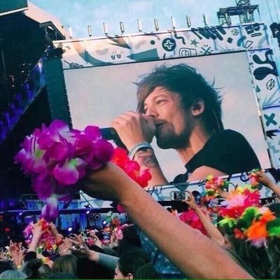 Join in on the Flower Fan Project for Louis’ show on 02/04/2022 at AFAS Live in Amsterdam! 💖 | please bring fake flowers so fans w allergies aren’t affected 🌸