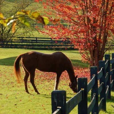 3zizas1's profile picture. Azizah al amri