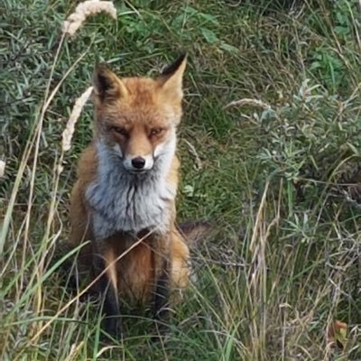 DeJost's profile picture. 