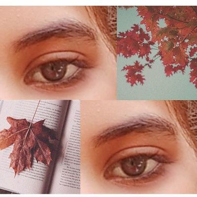 Muhamma55010836's profile picture. study