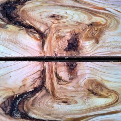 BansheeHolzi's profile picture. Gegen Fußballfelder als Maßeinheit

Like, Retweete, Antworte.
Was eigenes gibts selten.

Wald und Holz | lustiges | Energiewende | Politik | Technik