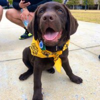 Chip (@chipumbc) 's Twitter Profile Photo Chip (@chipumbc) 's Twitter Profile Photo