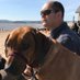Ian Davies (@cambriancat) Twitter profile photo Ian Davies (@cambriancat) Twitter profile photo