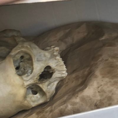 skeletal_end's profile picture. Death must be so beautiful. To have no yesterday and no tomorrow. To forget time, to forgive life…to be at peace. -Sylvia Plath. Header by @cryke_art.