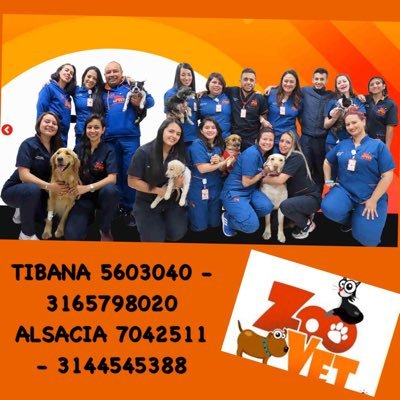 Somos un grupo de profesionales médico veterinarios amantes de las mascotas, tenemos dos sedes médicas en la cuidad de Bogotá con servicio 24 horas.
