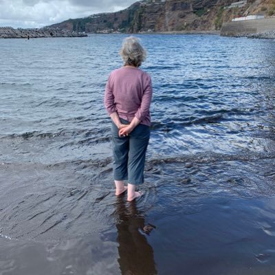 RobinToschi's profile picture. 