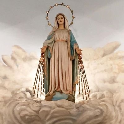 BFA28729328's profile picture. ...