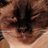 TerryMarta3's profile image