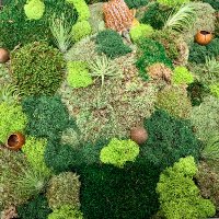 a common sense revolutionary (@aliquidamari) 's Twitter Profile Photo