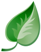 Complete Church Management Software Solution - Attendance Tracking, Automatic Follow-Up, and Contributions