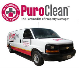 Lynsey and Daniel Camara are the owners of PuroClean Home Rescue serving Sacramento and surroundings areas