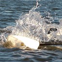 Jack Dryden - @JackDryden1071 - Twitter