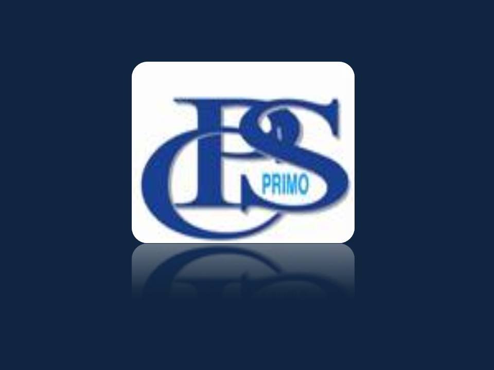 Primo Consultancy Services Profile