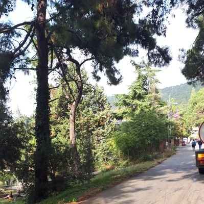 volkan1880's profile picture. 