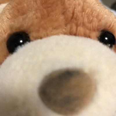 lod_tgo's profile picture. 母が急性リンパ性白血病。2018年8月発病。一年間抗がん剤治療して、退院するも3週間後に再発。骨髄移植しましたが、2020年5月60歳で永眠。今は旅行情報用アカ🌏✈️ 趣味🤿🐟🐡🐠