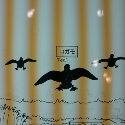 takapokopoyopoy's profile picture. 2018年に第一種銃猟免許、2021年に網猟免許取得。
KATRAN 4.5mm / FX M3 5.5mm / KALIBRGUN C2T 5.5mm / ITHACA M37
明るいうちから飲むビールが美味しいうぇす！