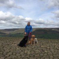 trudy cowan (@trudycowan1) 's Twitter Profile Photo trudy cowan (@trudycowan1) 's Twitter Profile Photo