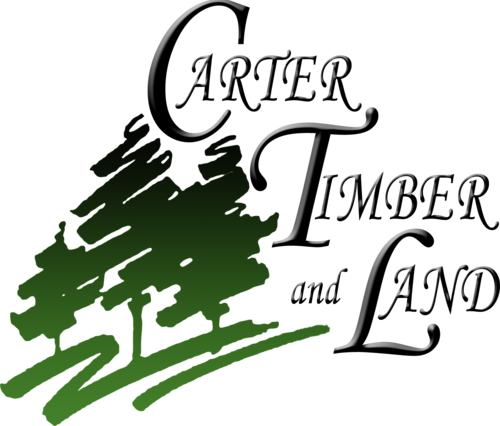 CTandL's profile picture. Our Mission is to offer our companies services to a broader field of prospective clients looking to purchase or sell real estate.